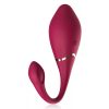 Premium-silikon-eier-vibrator mit fernbedienung – hochwertige intime Kosmetik