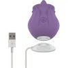 Lila klitorienstimulator mit 10 vibrationsmodi lila – hochwertige intime Kosmetik