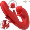 Nathy doppelvibrator multifunktionaler stimulator mit mund rot – hochwertige intime Kosmetik